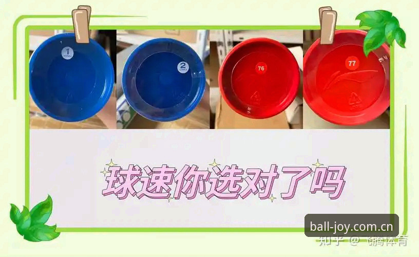 球速娱乐官方登录入口使用指南 揭秘球速体育平台:官方登录入口使用指南背后的真相